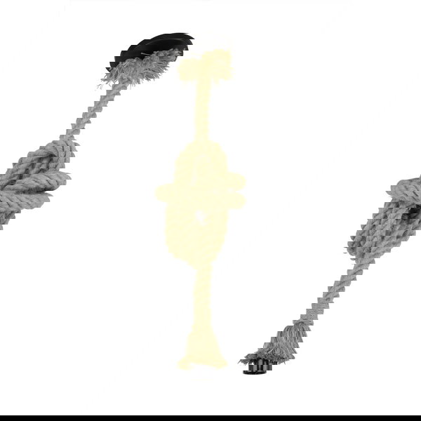 Viseća rasvjeta 'Rustic R'