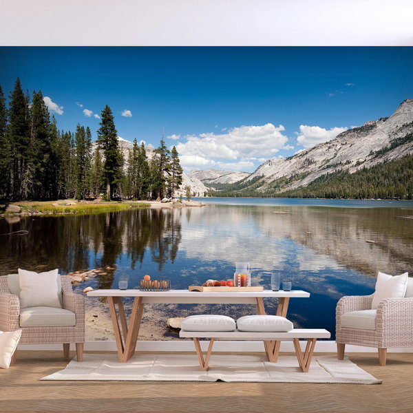 Papel pintado 'Tenaya Lake'