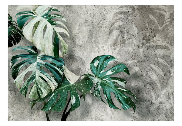 Tapete 'Variegata'