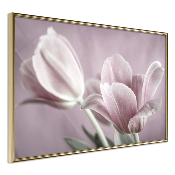 Poster 'Pastel Tulips I'