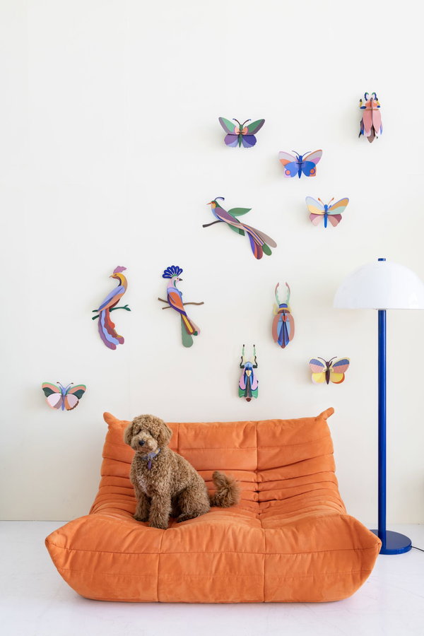 Wanddeko Papier 'Tropenvogel Maya'