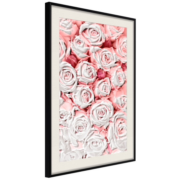 Poster 'White Rosaes'