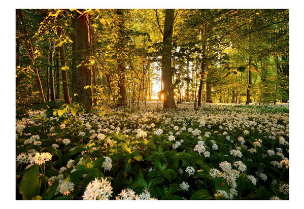 Tapete 'Forest flora'