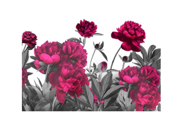 Tapete 'Lush meadow'
