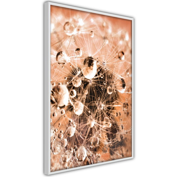 Poster 'Drops on Dandelion'