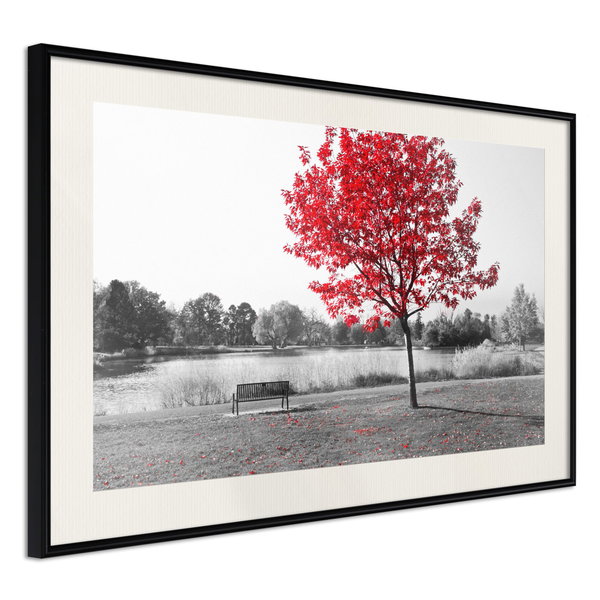 Poster 'Autumn Colours I'