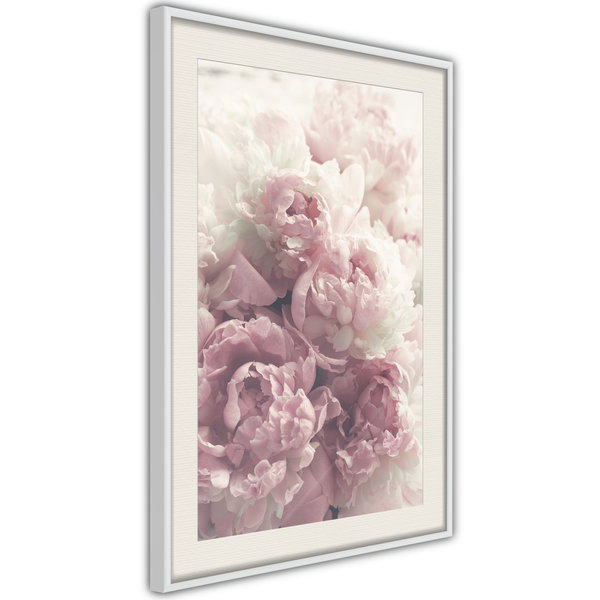 Poster 'Delicate Peonies'