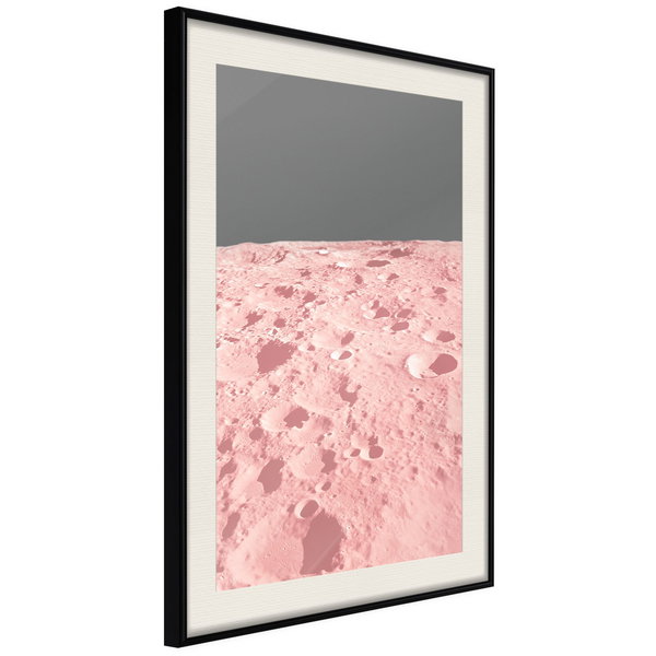 Poster 'Pink Moon'