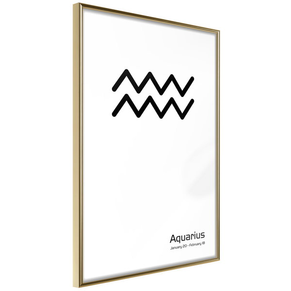 Poster 'Zodiac: Aquarius II'