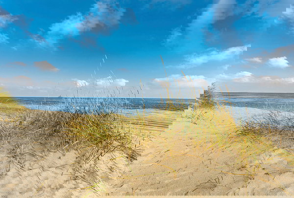 Tapet 'The Dune 2' 400x270cm