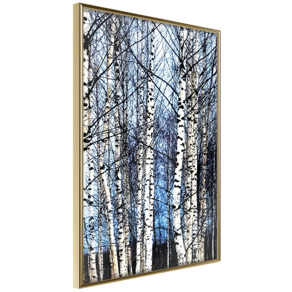 Poster 'Winter Birch Trees'