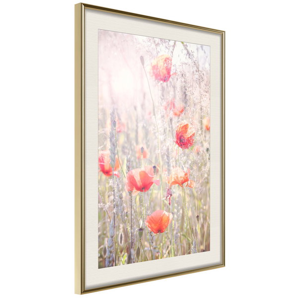 Poster 'Poppies'