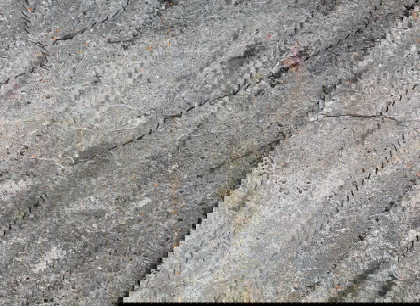 Tapete 'Old Concrete' 350x255cm