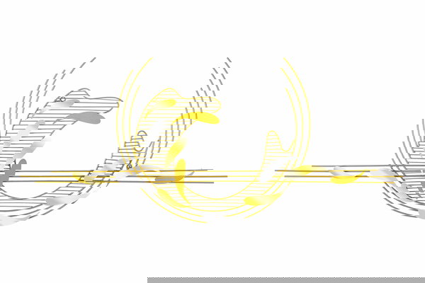 Kunstzinnige decoratie voor je muur