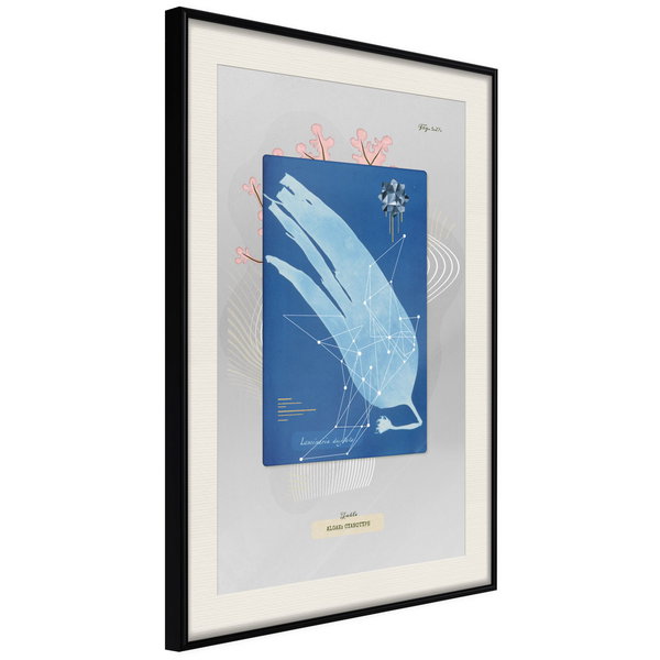Poster 'Alga'