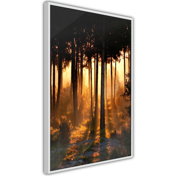 Poster 'Dark Tree Tops'