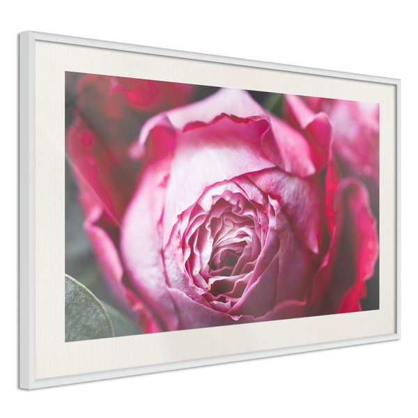 Aφίσα τοίχου 'Blooming Rosae'