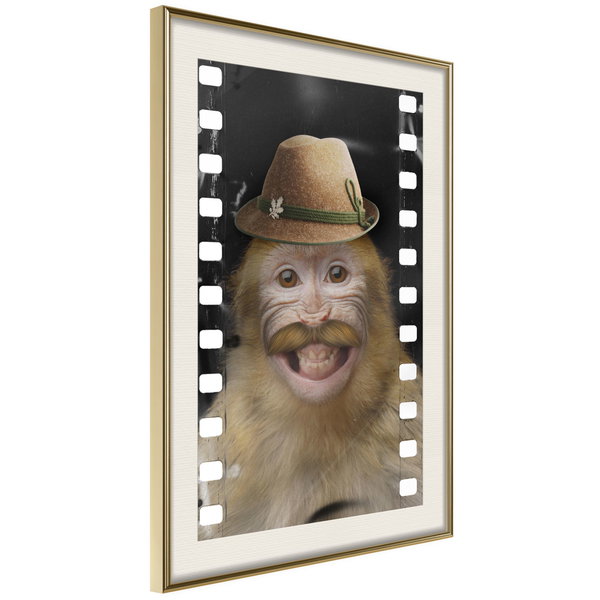 Poster 'Monkey In Hat'