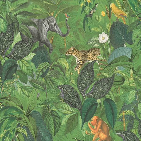 Tapete 'Book of the Jungle' 53x1005cm