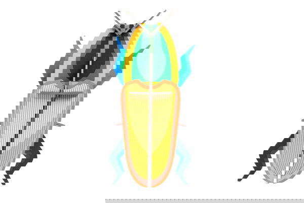 Wall deco 3d of cardboard 'Madagascar Beetle Decor'