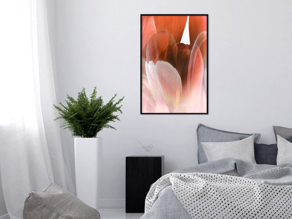 Poster 'Tulip Petals'
