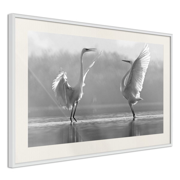 Poster 'Black and White Herons'