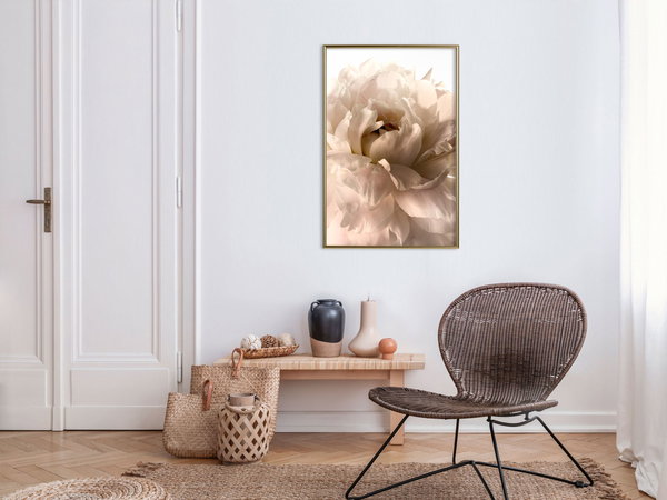 Poster 'Soft Petals'