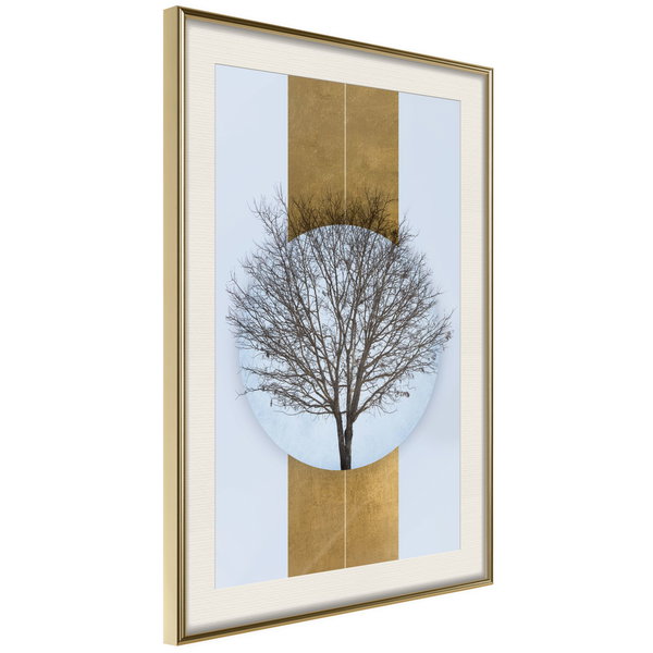 Poster 'Passing'