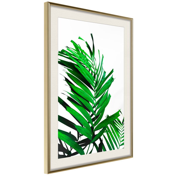 Poster 'Emerald Palm'