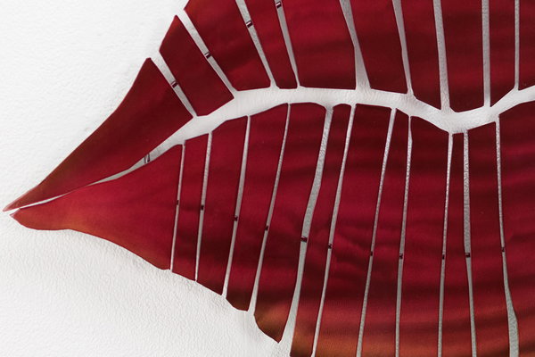 Plastische Ausdruckskraft