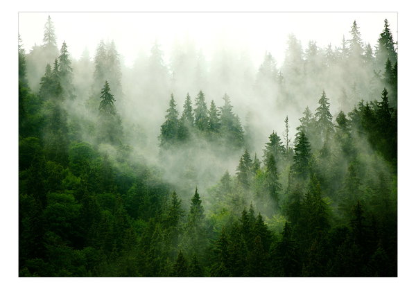 Selbstklebende Tapete 'Mountain Forest (Green)'