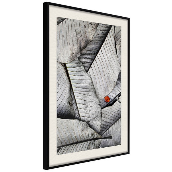 Poster 'Touch of Colour'