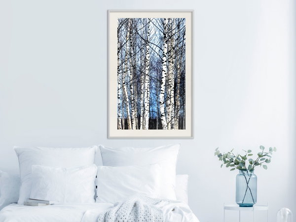 Poster 'Winter Birch Trees'
