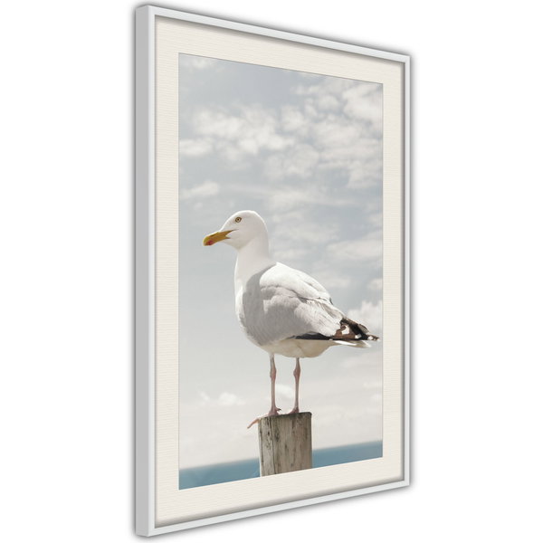 Poster 'Curious Seagull'