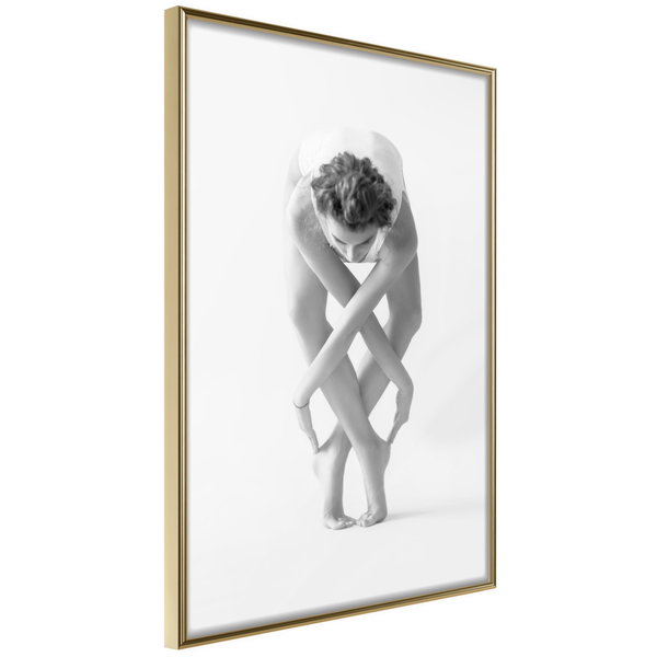 Poster 'Ballet'