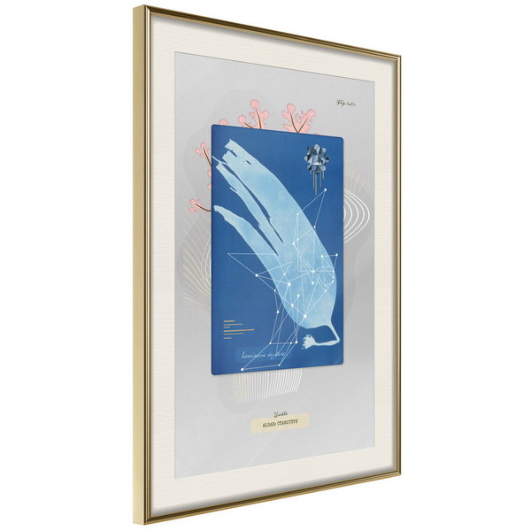 Poster 'Alga'