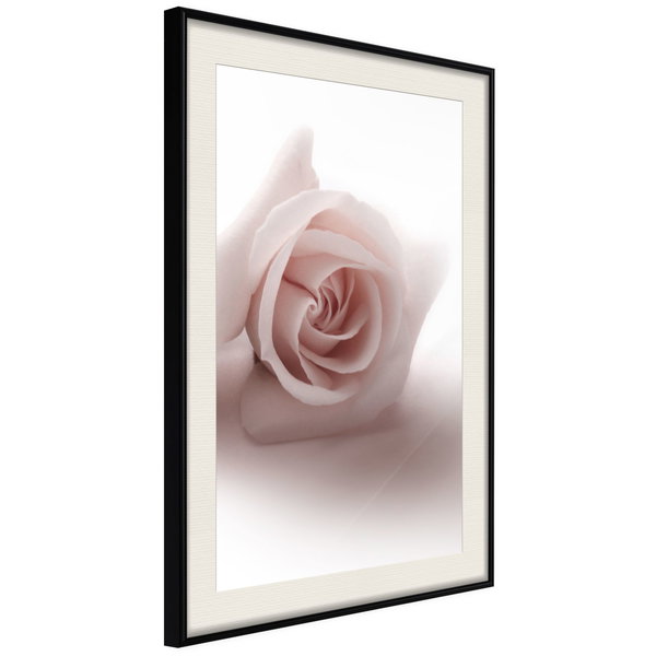 Poster 'Rosae Shadow'