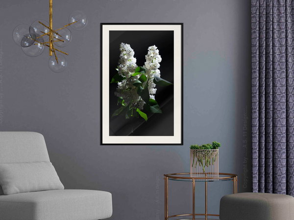 Poster 'White Lilac'