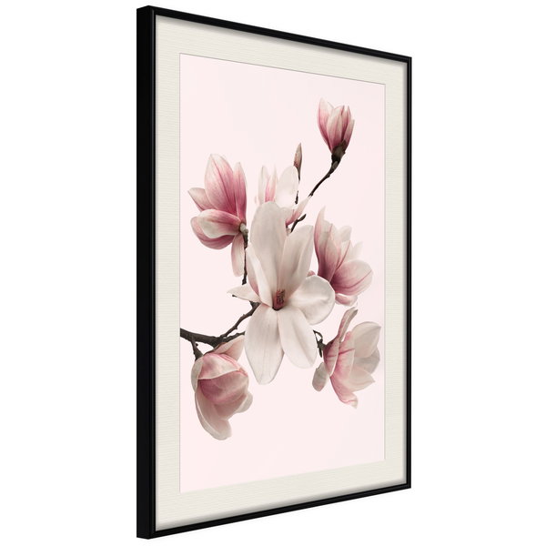 Poster 'Blooming Magnolias I'