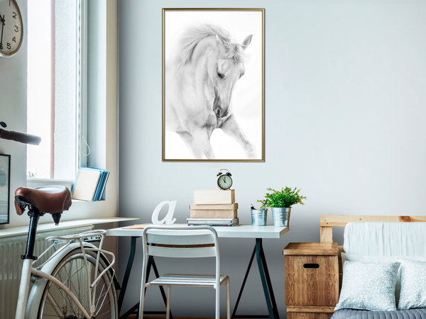 Poster 'White Horse'