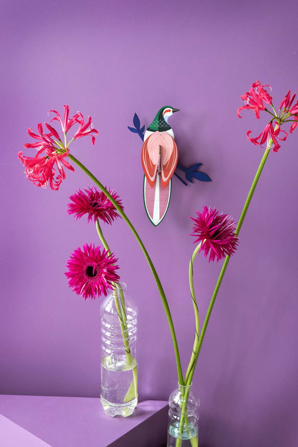 Wanddeko Papier 'Tropenvogel-Paradies'