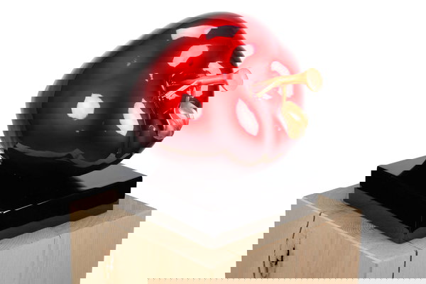 Un bijou pour votre logement