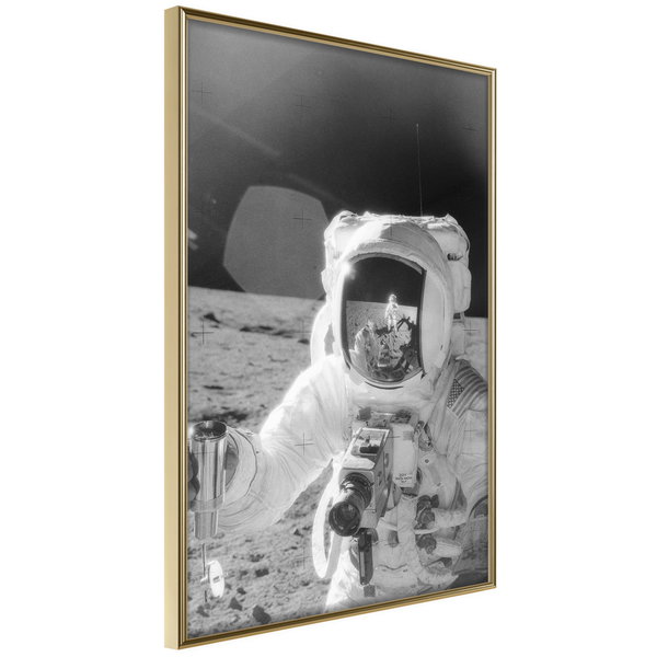 Poster 'Profession of Astronaut'