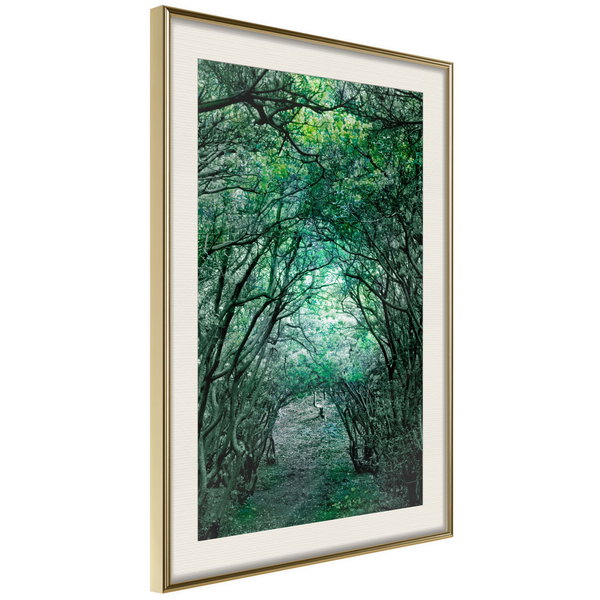 Poster 'Tree Tunnel'