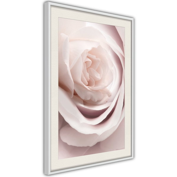 Póster 'Porcelain Rosae'