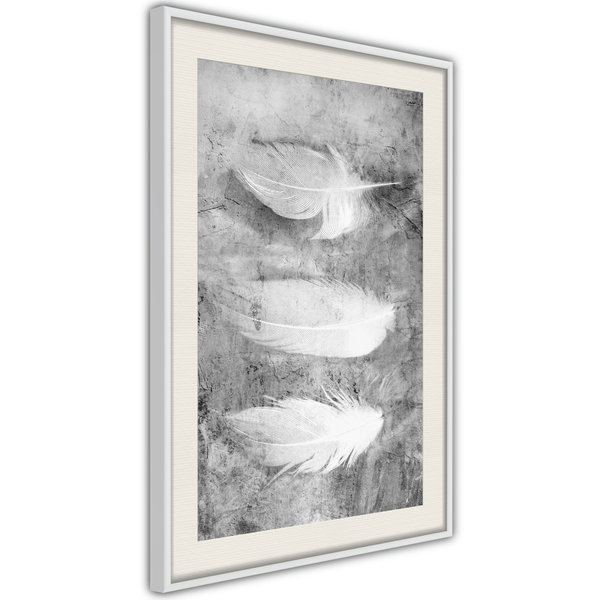 Poster 'Delicate Feathers'