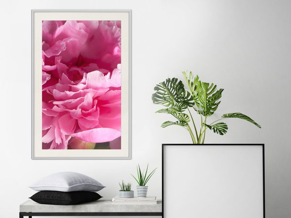 Poster 'Beautiful Peonies'