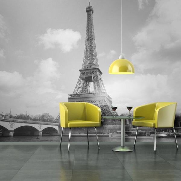 Papel de parede 'Seine and Eiffel Tower'
