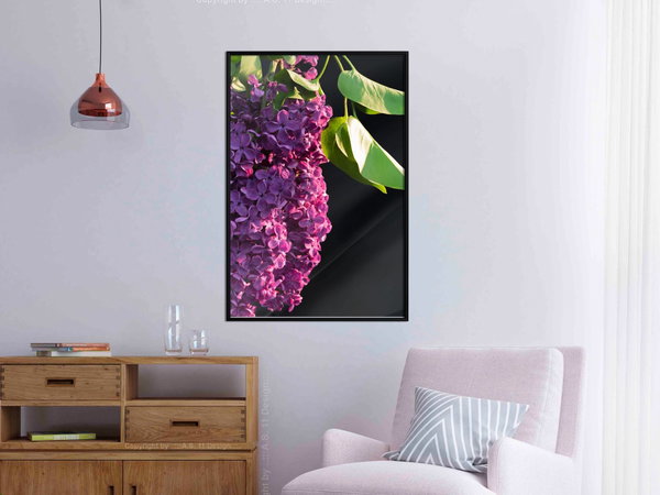 Poster 'Violet May'