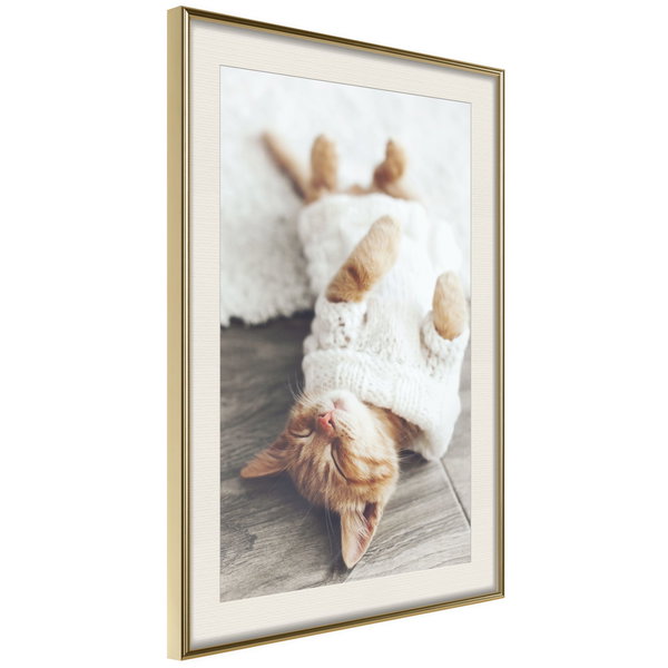 Poster 'Lazy Cat'